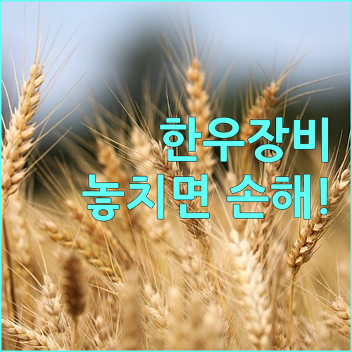 한우 관리장비 2025 지원사업, 놓치지 마세요