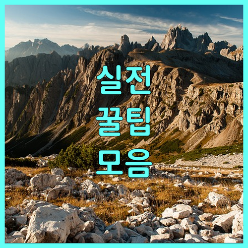 영월군 2025 취약계층 추천으로 받는 따뜻한 도움