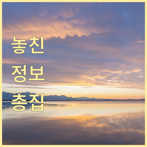 여권 만료되면 ESTA도 무효! 미국 여행 전 필독 유효 기간