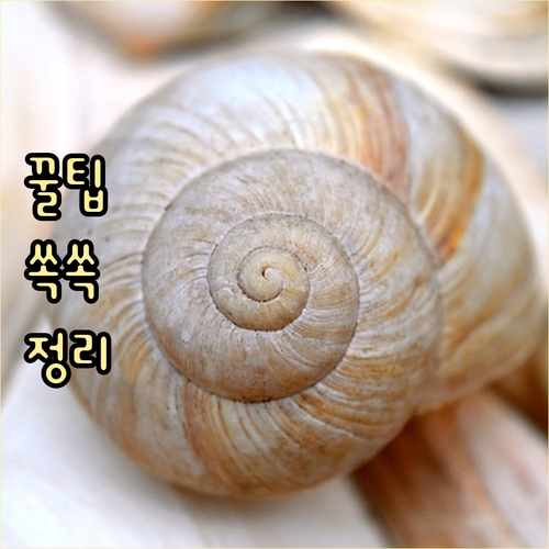 당신의 쓰레기가 상서동을 바꾼다! 올바른 분리배출 습관