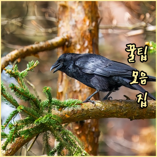 유성구 화암동 쓰레기 배출 요일 시간 핵심 정리