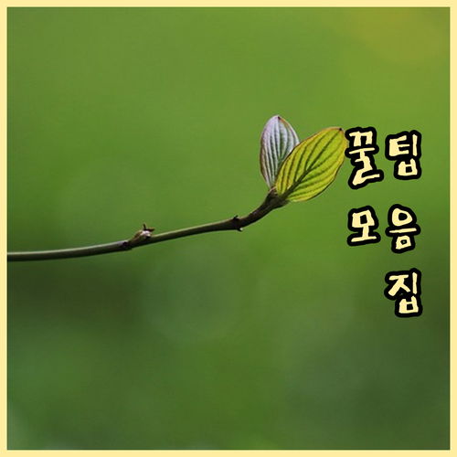 ESTA 14달러에서 21달러로 변경된 미국 여행 신청 필독 사항