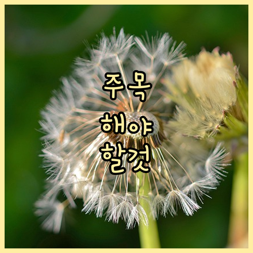 음식물쓰레기 과태료 100만원? 학산동 배출 방법