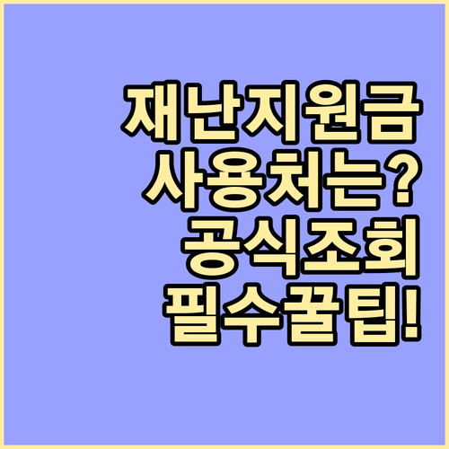 긴급재난지원금 사용처를 몰라요? 공식 통합 조회 서비스 활용법