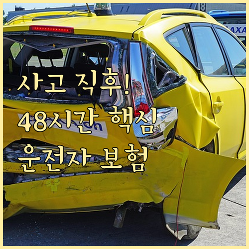 교통사고 발생 직후 운전자보험 초기 48시간 대처 및 증거 확보