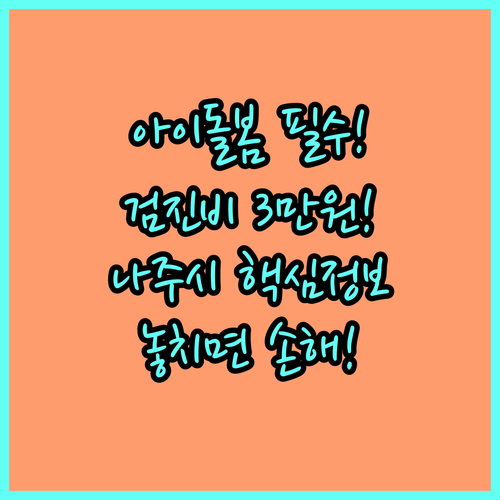 아이돌보미 필수 복지! 2025 나주시 건강검진비 3만원 지원 핵심 요약