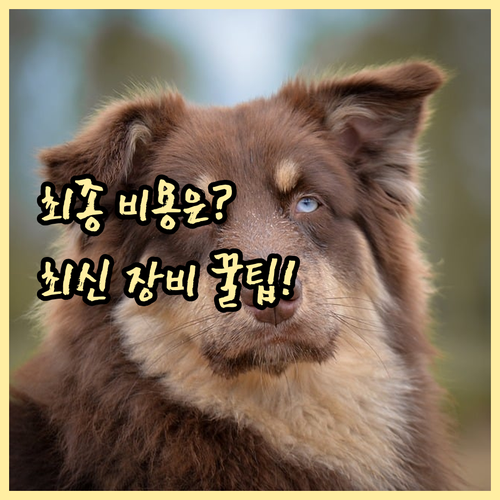 라식 라섹 최종 비용 결정 요소 최신 장비와 사후 관리 투명하게 확인