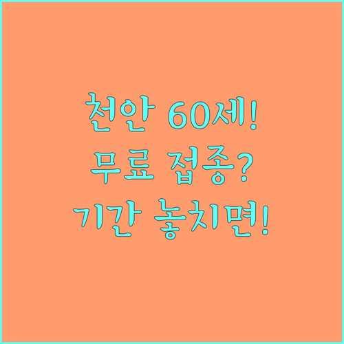 60세 이상 천안 시민 무료 인플루엔자 접종 2025 대상 확인과 기간 엄수