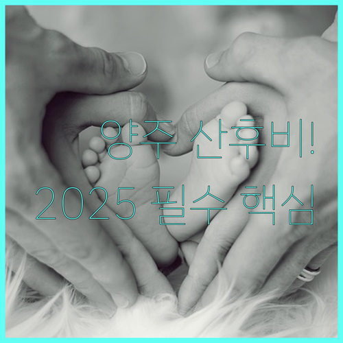 2025 양주시 산후조리비 신청 방법과 필수 제출 서류 완벽 정리