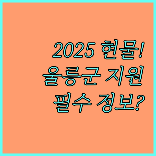 울릉군 2025 저소득 등록 장애인 현물 위문품 지원 필수 정보 확인