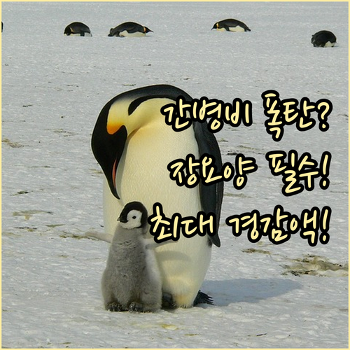 초고령 사회 간병비 장기요양보험 혜택과 경감 분석