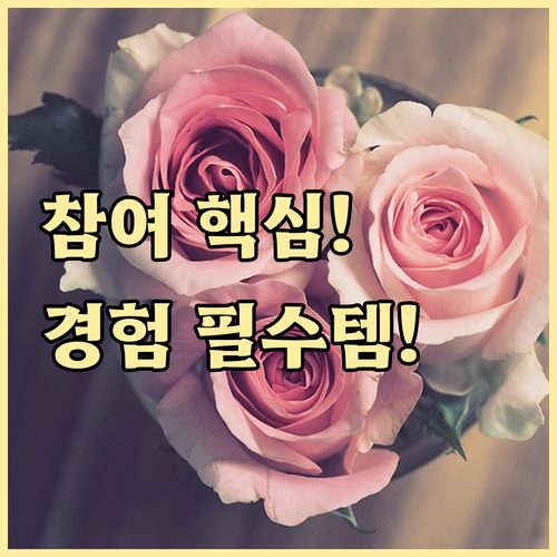 최적의 독자 경험을 만드는 사용자 참여 중심 구조화