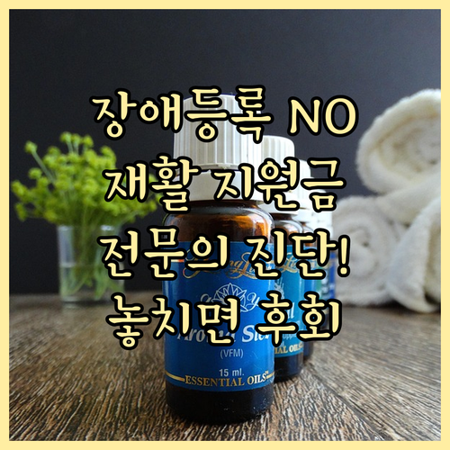 장애 등록 없이 발달재활 치료비 지원받는 법과 전문의 진단서