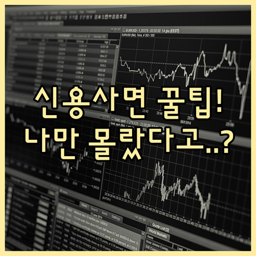 신용점수 회복의 기회 신용사면 적용 후 꾸준한 우량 신용 관리