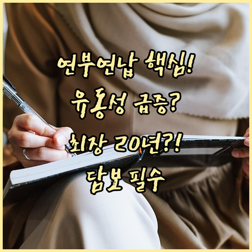 유동성 확보를 위한 연부연납 10년/20년 기간과 담보 제공 절차