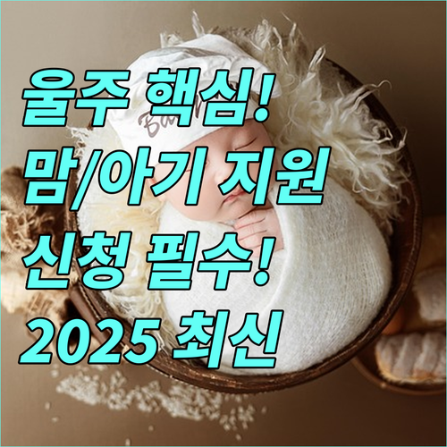 2025 울주군 산모 신생아 관리사 지원 신청 기간과 서류