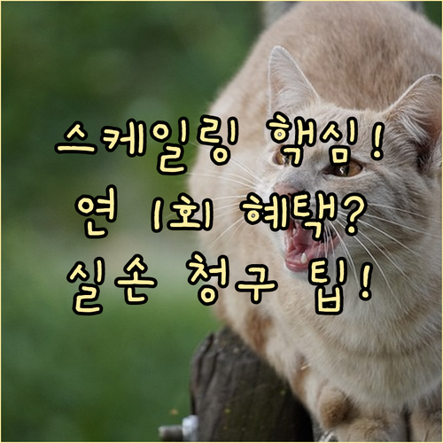 치과 스케일링 건강보험 연 1회 혜택 및 실손 청구 기준