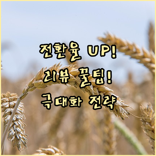 숙소 제휴 리뷰 콘텐츠로 예약 전환율 극대화하는 전략