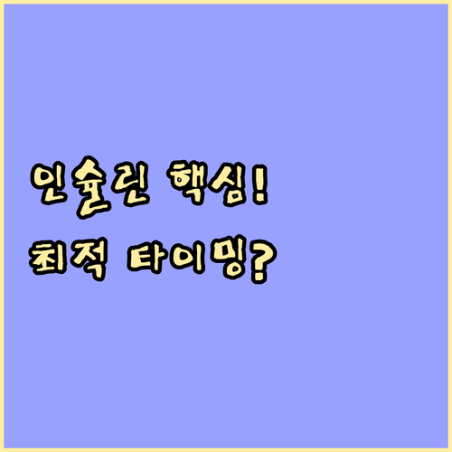 인슐린 작용 속도 분류와 최적의 투여 타이밍 분석