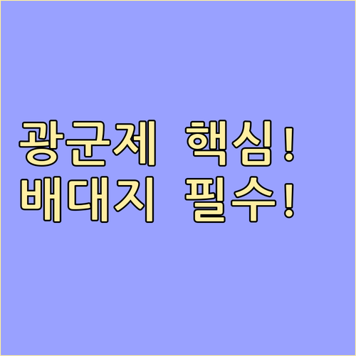 광군제 성공의 8할 배송에 달렸다 빠르고 안전한 배대지 선택