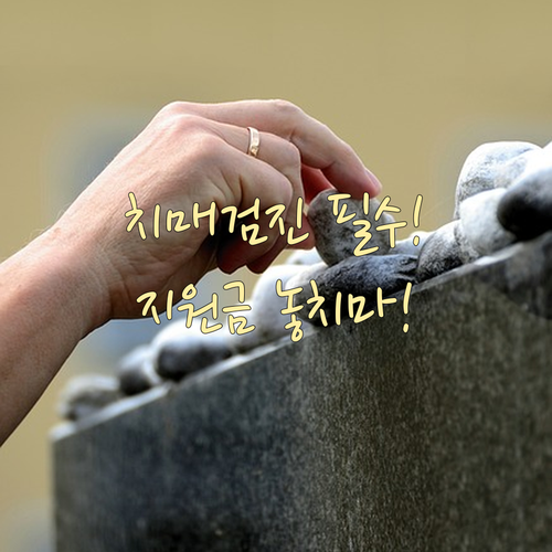 치매 조기검진 1단계는 무료 2 3단계 소득 기준 및 비용 지원은