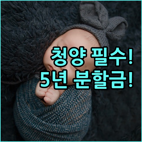 2025 청양군 5년 분할 지급 출산장려금 거주 기간과 신청 기한 상세