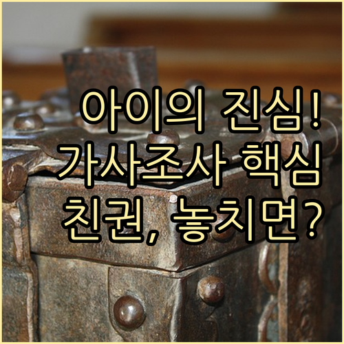 가정법원 가사조사 자녀 의견 청취 친권 변경의 심층 분석