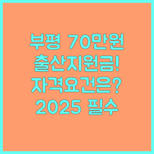 2025 부평구 장애인 출산지원금 최대 70만원 지원 금액 자격 요건 및 접수처