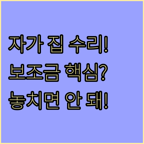 전월세 가구 제외 자가 주택 수리 보조금 핵심 분석