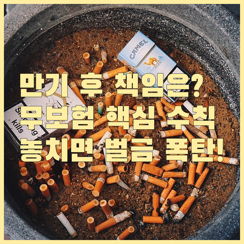 자동차 보험 만기 후 무보험 기간 법적 책임과 수칙