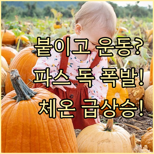 파스 붙이고 운동 위험 체온 상승에 따른 성분 과다 흡수 경고