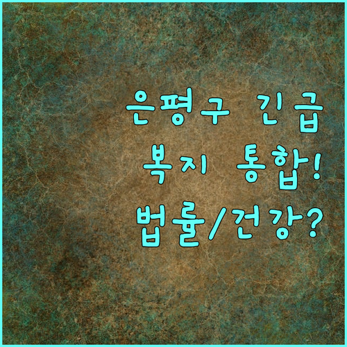 2025 은평구 금융복지 통합 상담 긴급 복지 법률 정신건강 연계 안내