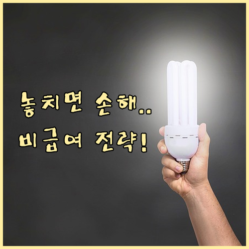 보험료 지키는 실비보험 비급여 항목 이용 및 청구 전략