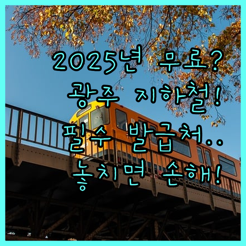 광주 도시철도 2025 무료 이용 | 대상별 무임 교통카드 발급처 및 필수 서류