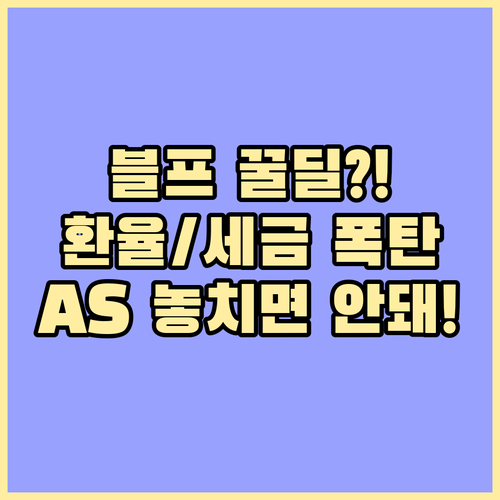 애플 블랙프라이데이 직구 관부가세 환율 리스크 국내 AS 메리트