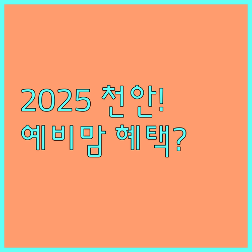 2025 천안시 예비맘 건강검진 지원 내용 신청 서류 완벽 안내