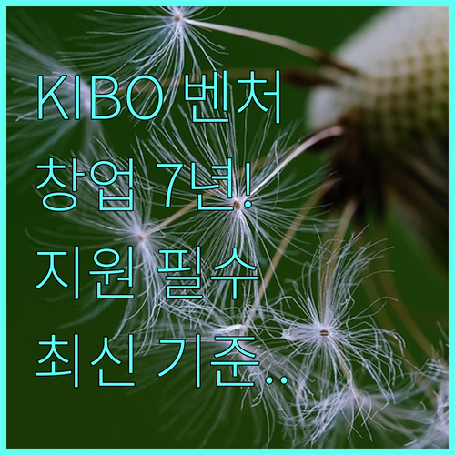 2025 KIBO 벤처투자보증 창업 7년 이내 비상장 기업 지원 기준은