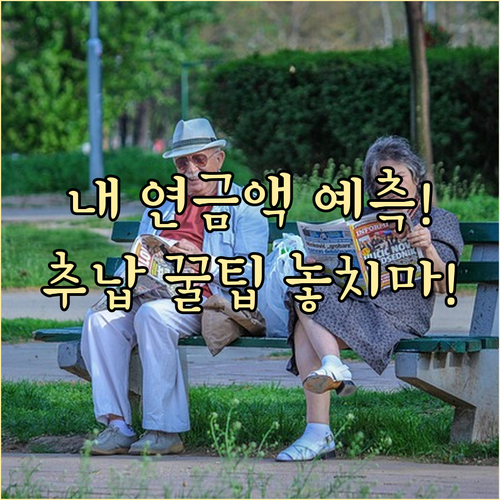 국민연금 수령액 조회: 공단 서비스로 예측하고 추납 활용하기