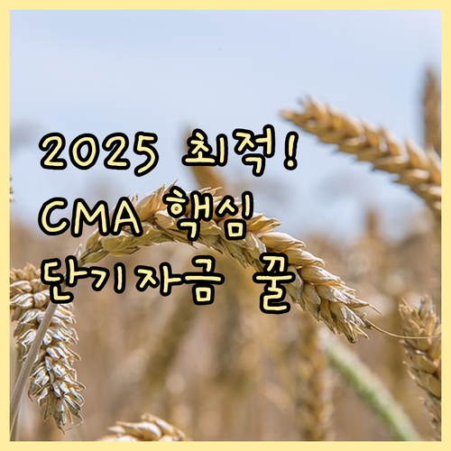 단기 자금 운용의 핵심: 2025 최적의 CMA 포트폴리오 구축