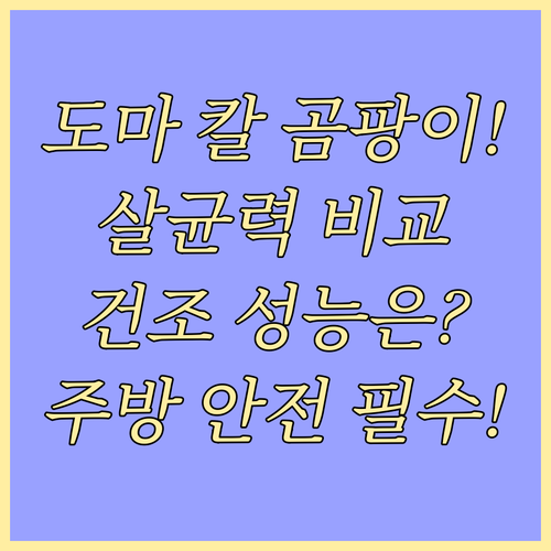 김장용 도마 칼 살균기, 위생력과 건조 성능 비교로 안전 주방 구축