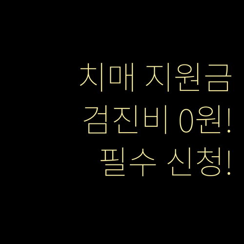 1~3단계 치매 검진 비용 지원 기준과 치료관리비 지급 상세 안내