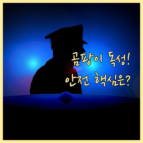 호흡기 보호 필수! 곰팡이 제거제 안전 사용을 위한 5단계 표준 절차