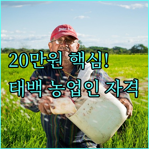강원 태백 2025 여성농업인 20만원 현금 지원 대상 자격 요건 총정리