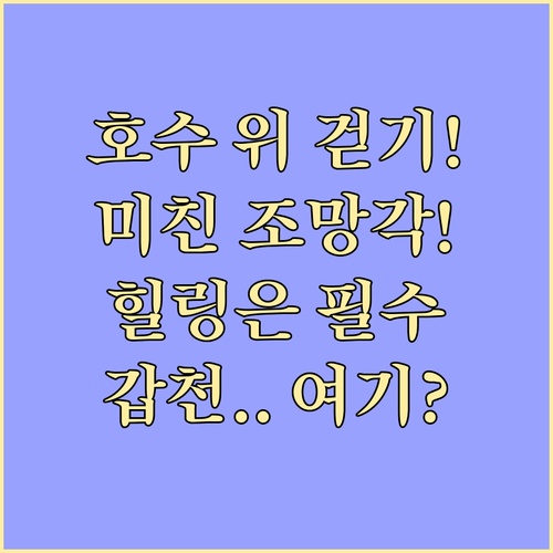 호수 위를 걷는 짜릿함 갑천생태호수공원 조망 시설 및 힐링 공간