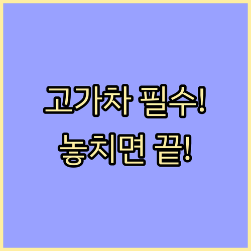 고가 차량 사고 위험 대비 연말 보험 갱신 핵심 체크리스트
