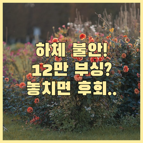 내 차 하체 불안정! 부싱 수명 12만 km 교체를 미루면 생기는 일