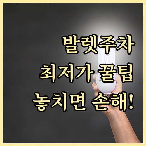 실속파를 위한 공항 발렛주차 할인율 심층 분석 방법