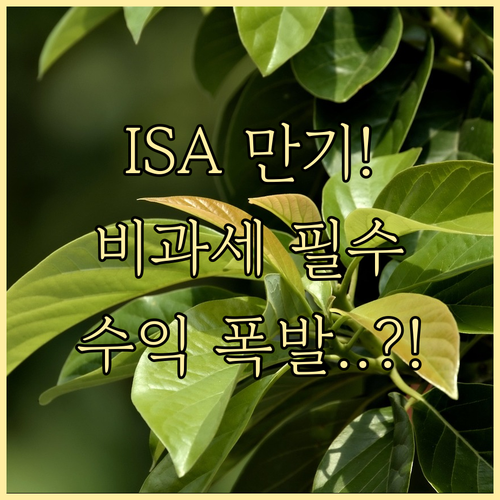ISA 만기 자금 비과세 유지와 수익 극대화 전략