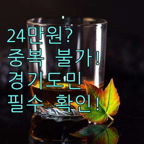 2025 경기도 교통비 24만원 지원 중복 수혜 불가 및 신청 기준