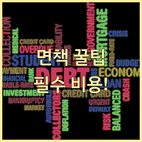 면책 성공을 위한 개인파산 절차별 필수 비용 및 위험 관리